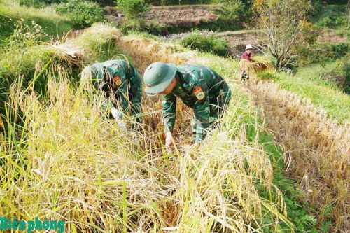 Phát huy vai trò của cán bộ, đảng viên đồn Biên phòng trong tham gia xây dựng hệ thống chính trị cơ sở và xóa đói, giảm nghèo bền vững