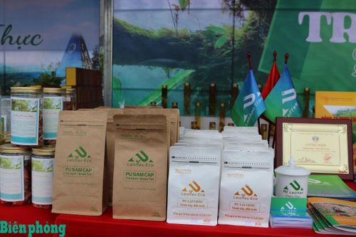 Phát triển nông lâm sản các tỉnh Tây Bắc: Thúc đẩy liên kết vùng, chuỗi sản xuất để vươn xa