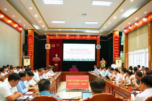 Đảng ủy TKV giao ban công tác dư luận xã hội và thông tin, tuyên truyền 6 tháng đầu năm 2025