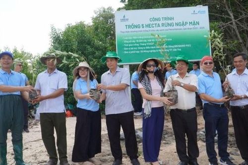 BIENDONG POC trồng 5 hecta rừng ngập mặn tại Cần Thơ
