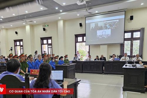 Xét xử vụ lừa đảo Đất Xanh Long An, Hưng Thịnh Cát Tường và Thiên Phúc Hoàng Gia