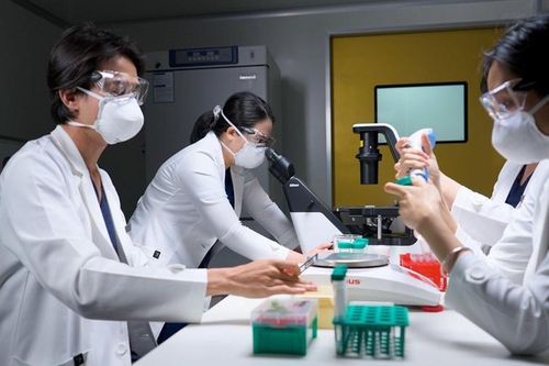 Tiến sĩ Nguyễn Thị Kiều Oanh: 'Tế bào gốc không phải thần dược – hiểu đúng mới mang lại hiệu quả'