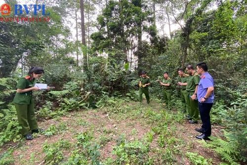 Phê chuẩn khởi tố 3 đối tượng cướp tài sản trên đèo Tam Đảo