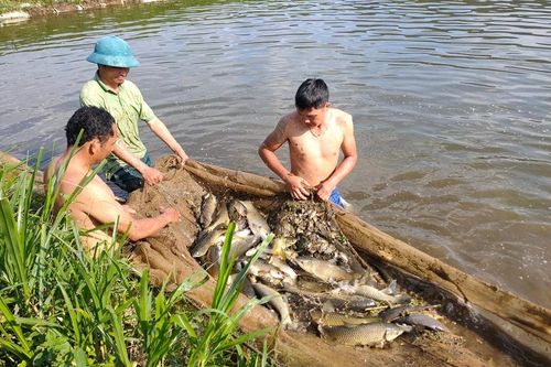 Việt Nam vượt mặt Trung Quốc, Na Uy, vươn lên top 3 nhà cung ứng thủy sản lớn nhất tại quốc gia này