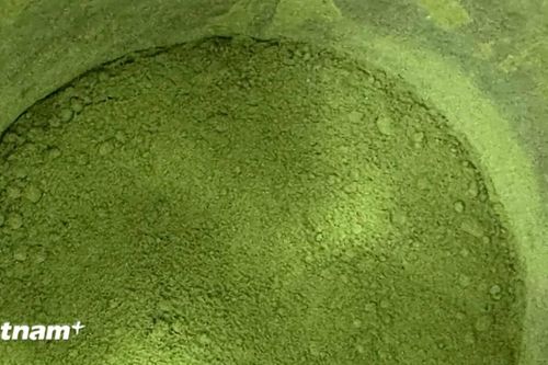 Chúng ta đang uống nhiều Matcha đến mức nguồn cung sắp cạn kiệt
