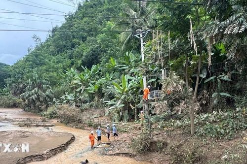 Nghệ An: Khẩn trương vệ sinh môi trường, phòng chống dịch bệnh sau mưa lũ