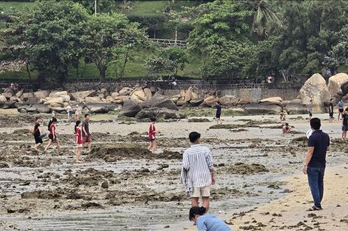 Tăng cường bảo vệ rạn san hô tại Hòn Chồng (Nha Trang)