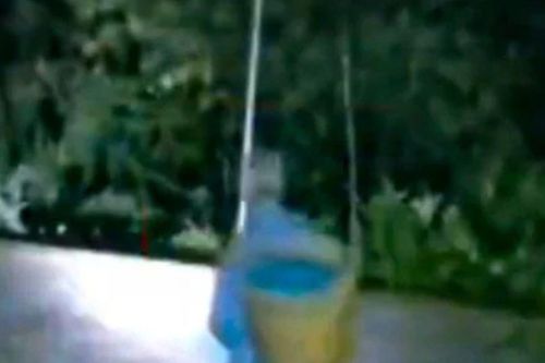 Xúc động người cha 82 tuổi dậy từ 3 giờ sáng hái mận gửi cho con trai