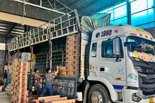 Đảm bảo cung ứng hàng hóa mùa mưa lũ