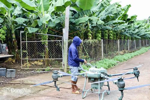 Xây dựng chuỗi liên kết bền vững: Chìa khóa đầu ra cho nông sản