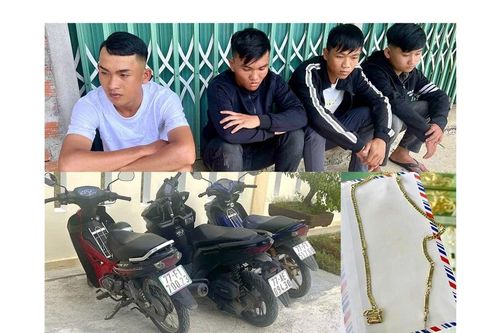 Công an tỉnh Gia Lai nhanh chóng làm rõ 4 đối tượng cướp tài sản