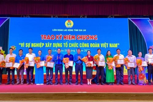 Gia Lai: Tặng kỷ niệm chương 'Vì sự nghiệp xây dựng tổ chức Công đoàn Việt Nam' cho 181 cá nhân