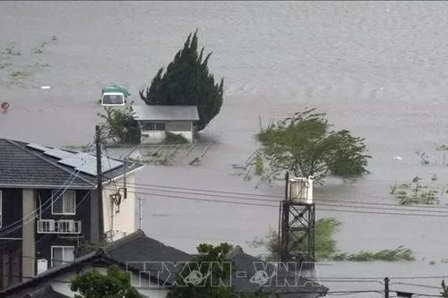 Bão Co-may mạnh trở lại ngoài khơi Nhật Bản