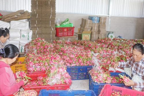 Phát huy nội lực, xây dựng Hàm Liêm phát triển toàn diện và bền vững