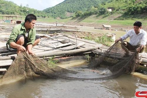 Xây dựng các mô hình kinh tế hiệu quả