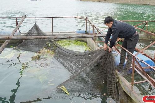 Nhiều việc làm thiết thực