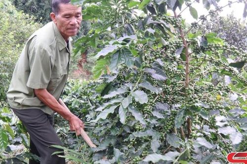 Phát huy phẩm chất 'Bộ đội Cụ Hồ'
