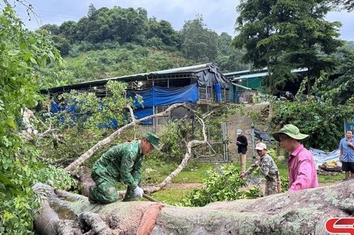 Bộ đội Biên phòng giúp nhân dân khắc phục hậu quả mưa bão