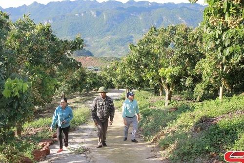 Lóng Phiêng bước tiếp hành trình phát triển