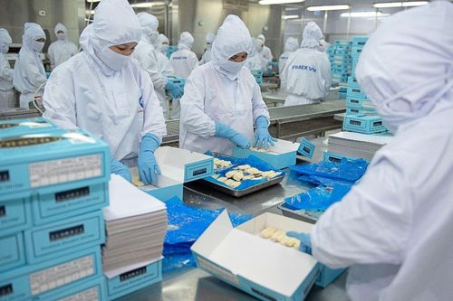 Mảng thủy sản tăng tốc, lãi ròng nửa đầu năm của Tập đoàn PAN tăng 22%