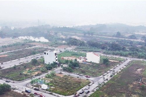 Phú Thọ: Gia hạn cho Công ty cổ phần Lâm sản xuất khẩu và Kinh doanh tổng hợp thêm 30 năm sử dụng đất tại phường Thanh Miếu