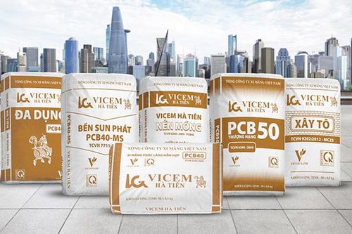 Vicem Hà Tiên: Lợi nhuận tăng nhờ cắt giảm chi phí, áp lực tài chính vẫn lớn