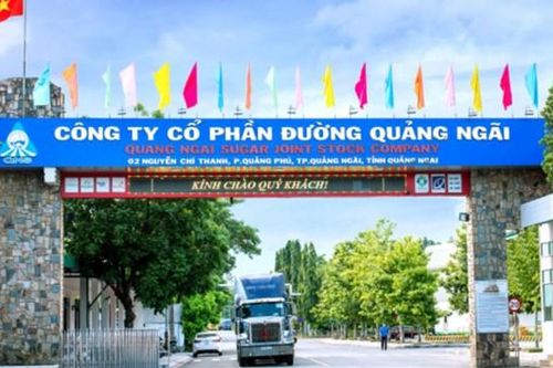 Đường Quảng Ngãi (QNS): Lợi nhuận giảm 23% sau 6 tháng, chi phí hỗ trợ bán hàng tăng đột biến