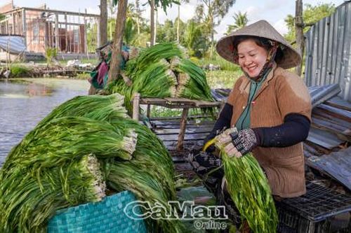Hái 'lộc trời' mùa nước lên