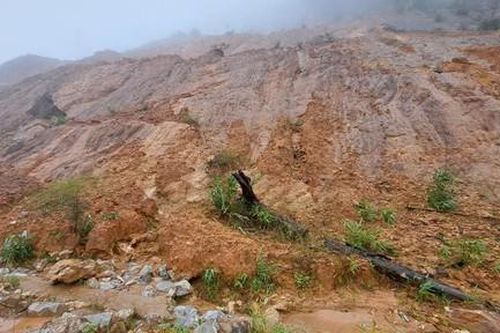 Thủ phủ sâm Ngọc Linh thiệt hại nặng sau mưa bão
