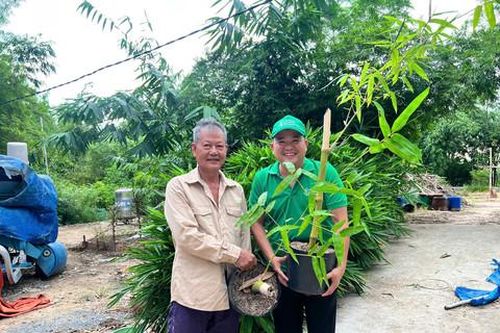 Hành trình mới của tre Việt bắt đầu từ một quỹ cộng đồng