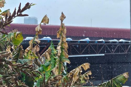 Hải Phòng: Yêu cầu xác minh việc người dân nhập viện do hít phải hóa chất từ nhà máy bột giặt
