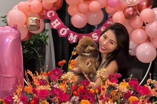 Tranh cãi chuyện cô gái chi 50 triệu đồng tổ chức sinh nhật chó