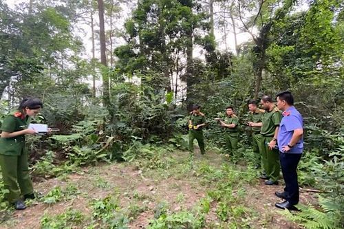 Khởi tố 3 đối tượng gây ra vụ cướp tài sản, hiếp dâm trên núi Tam Đảo