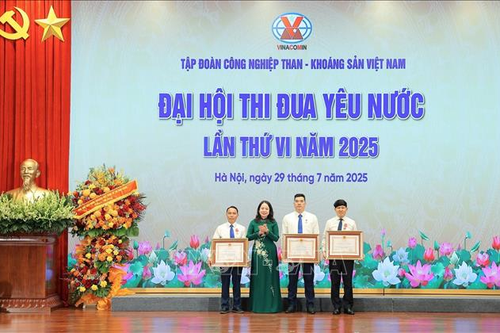 Phó chủ tịch nước Võ Thị Ánh Xuân: Tập đoàn TKV phải trở thành tập đoàn kinh tế mạnh, là một trong ba trụ cột về năng lượng