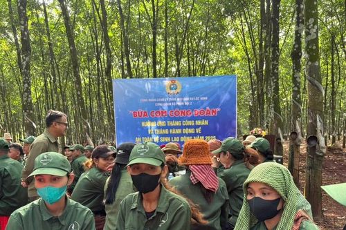BÀI 6: Lộc Ninh – Bữa cơm nghĩa tình giữa rừng cao su