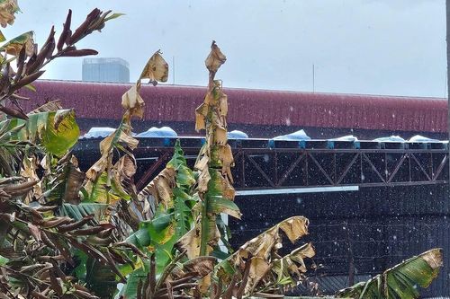 Rò rỉ hóa chất từ nhà máy bột giặt, người dân ngạt thở, nhập viện