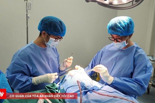 Bị đầu đạn găm trúng đầu khi đang làm vườn