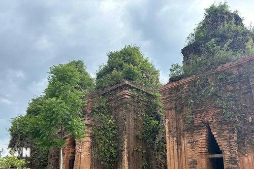Đà Nẵng đánh thức tiềm năng du lịch từ những tháp Chăm ngàn năm tuổi