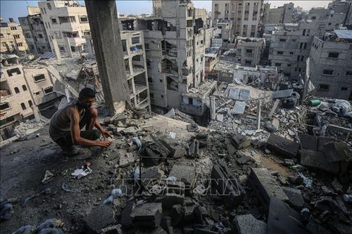 Khai mạc hội nghị quốc tế về xung đột Israel-Palestine