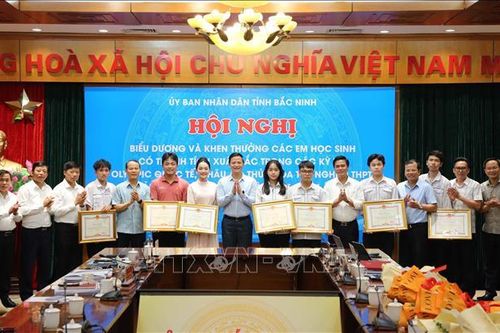 Đoạt Huy chương vàng Olympic quốc tế, một nam sinh được thưởng nửa tỷ đồng