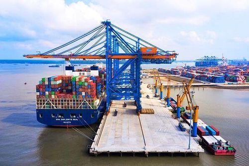 Cổ phiếu cảng biển trước chu kỳ phục hồi: GMD nổi bật, kỳ vọng bứt tốc 2026