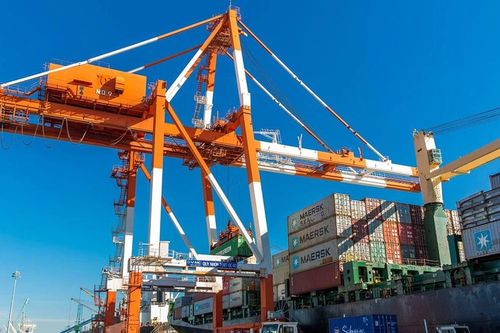 Linh hoạt thích ứng, tăng thu từ xuất nhập khẩu
