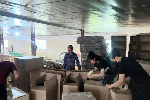 Cầu nối tiêu thụ sản phẩm