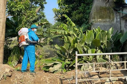 Phun khử khuẩn xử lý môi trường sau mưa lũ tại phường Cam Đường