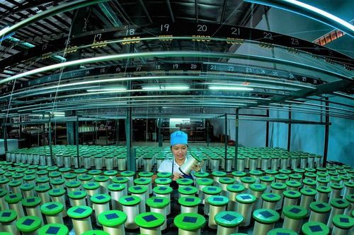 Phát huy nguồn lực, tiềm năng đưa phường 1 Bảo Lộc vào nhóm phát triển cao của tỉnh