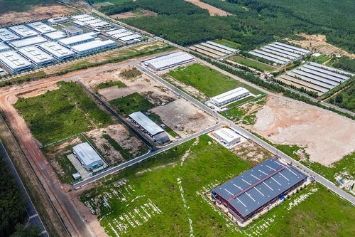 Trà Tân nâng thu nhập, chăm lo an sinh