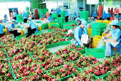 Kế thừa và phát huy thế mạnh trong không gian mới