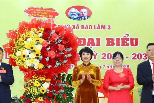 Kỳ vọng Bảo Lâm 3 phát triển vượt bậc