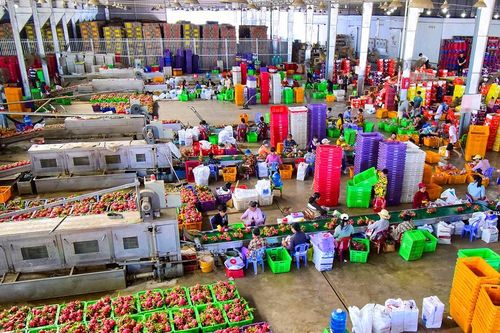 Xã Hàm Kiệm: Cuộc hoán đổi vị trí 'ngoạn mục' giữa nông, công nghiệp