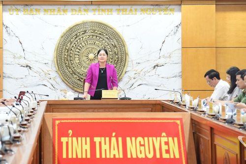 Tạo điểm nhấn văn hóa trà Thái Nguyên tại Triển lãm kỷ niệm 80 năm Quốc khánh